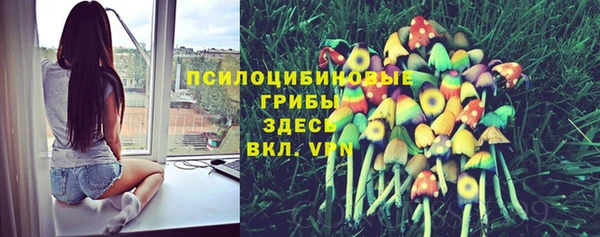 МДМА Белокуриха