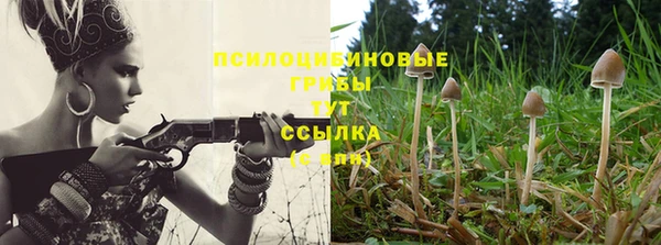 дживик Беломорск