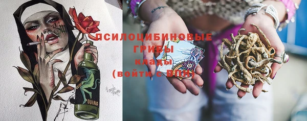 дживик Пересвет